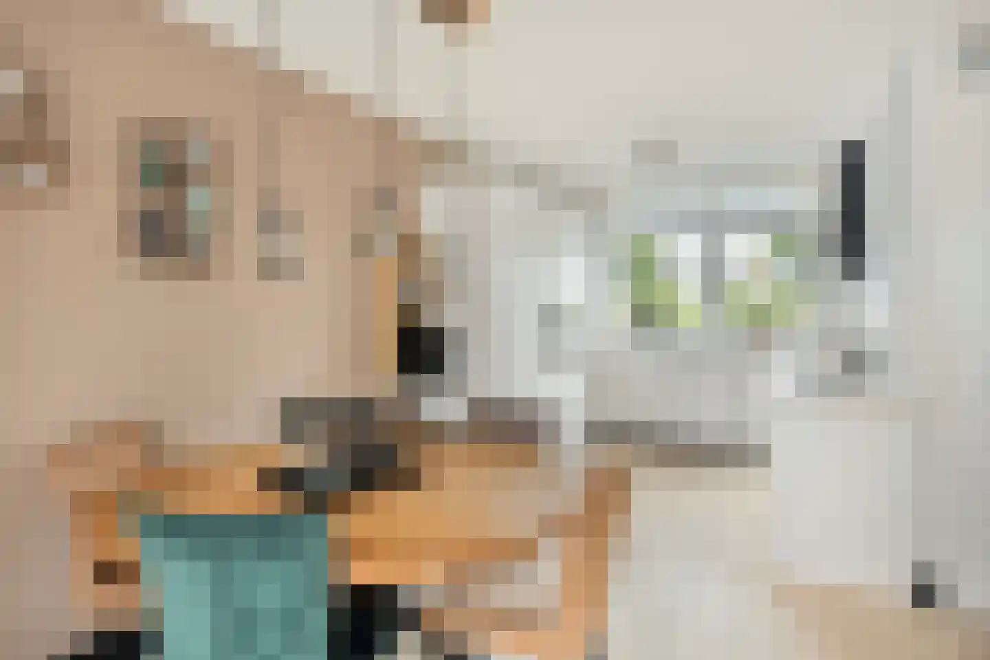 Meester K M van Dijkstraat 20 Opheusden thumbnail 6
