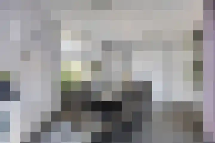 Meester Kesselsstraat 8 Beringe thumbnail 21