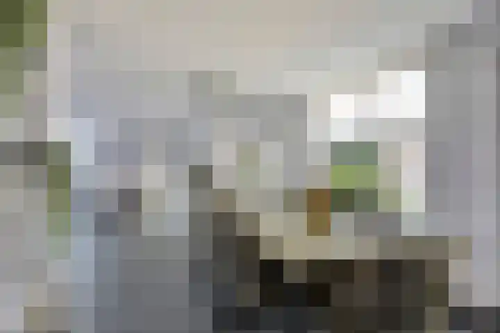 Meester Kesselsstraat 8 Beringe thumbnail 22