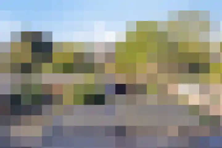 Meester Kesselsstraat 8 Beringe thumbnail 39