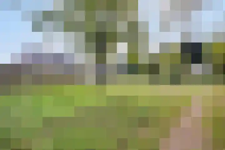 Meester Kesselsstraat 8 Beringe thumbnail 53