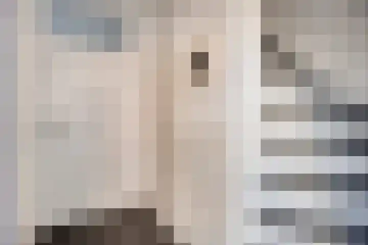 Meester Kesselsstraat 8 Beringe thumbnail 6