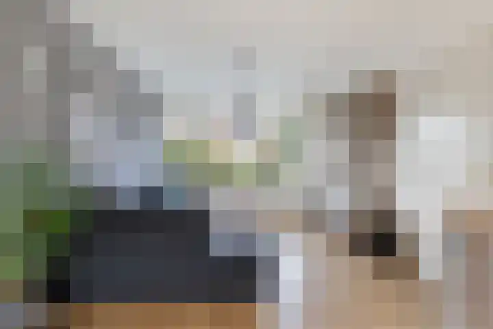 Meester Klaas Douwesstraat 10 Tzum thumbnail 12