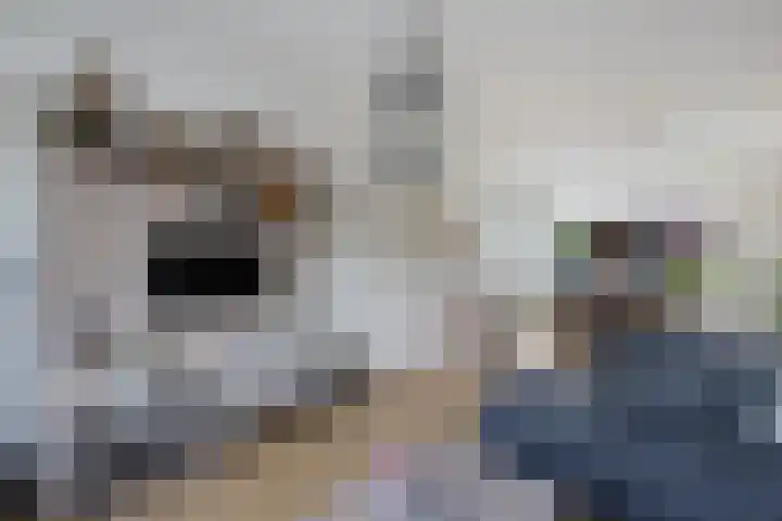 Meester Klaas Douwesstraat 10 Tzum thumbnail 15