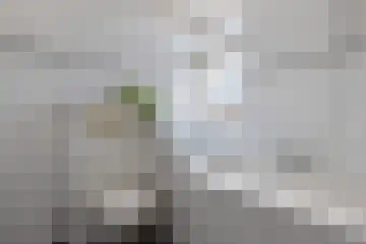 Meester Klaas Douwesstraat 10 Tzum thumbnail 28