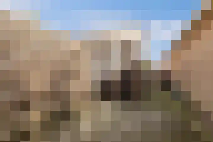Meester Klaas Douwesstraat 10 Tzum thumbnail 36