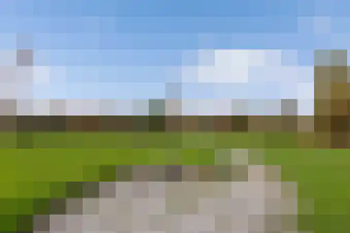 Meester Klaas Douwesstraat 10 Tzum thumbnail 41