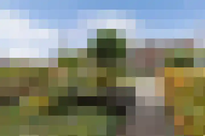 Meester Klaas Douwesstraat 10 Tzum thumbnail 5