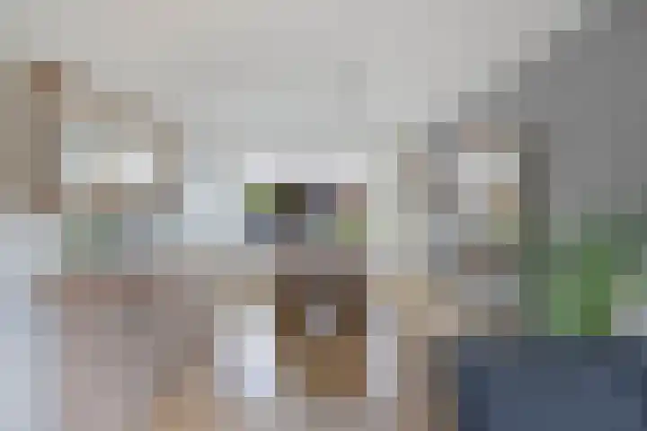 Meester Klaas Douwesstraat 10 Tzum thumbnail 8