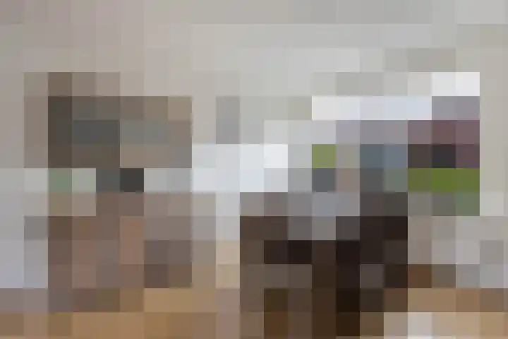 Meester Klaas Douwesstraat 10 Tzum thumbnail 9