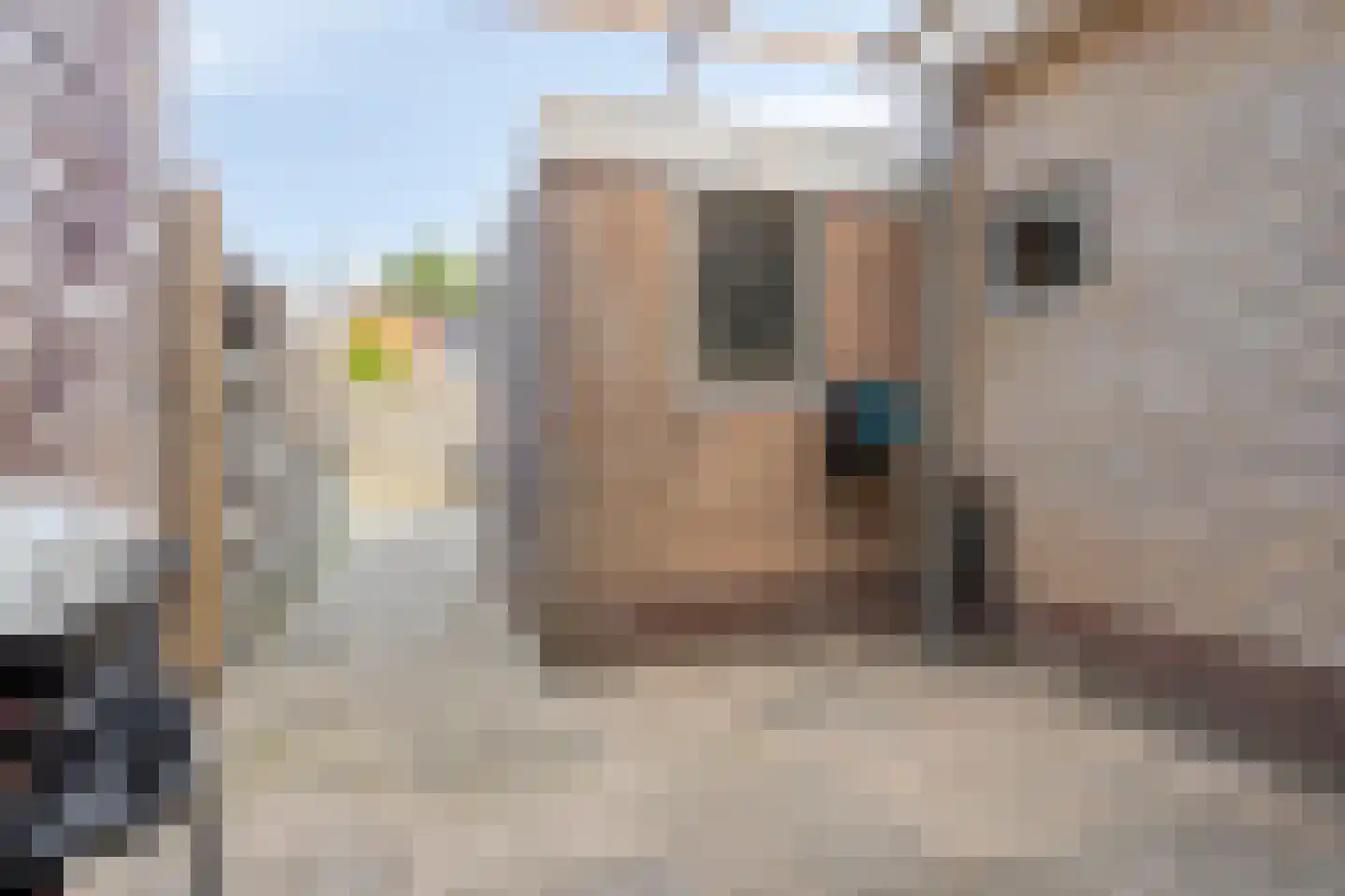 Meester Klaas Douwesstraat 21 Tzum thumbnail 20