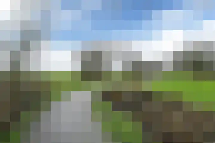 Meester Klaas Douwesstraat 32 Tzum thumbnail 37