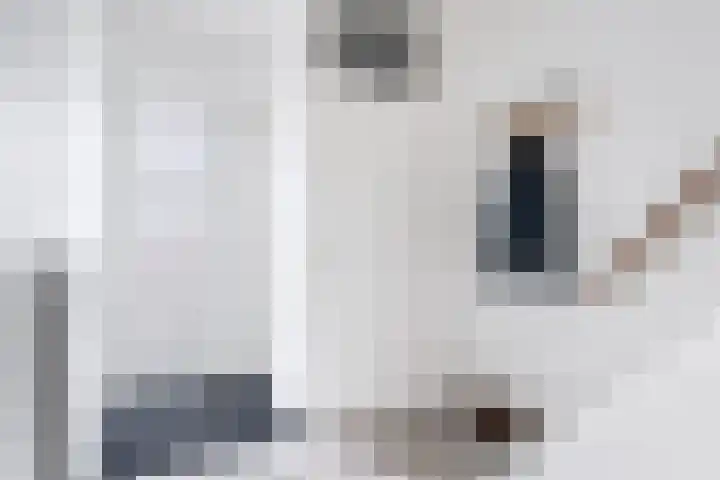 Meester Klaas Douwesstraat 32 Tzum thumbnail 4