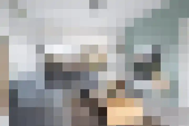 Meester Klaas Douwesstraat 32 Tzum thumbnail 9