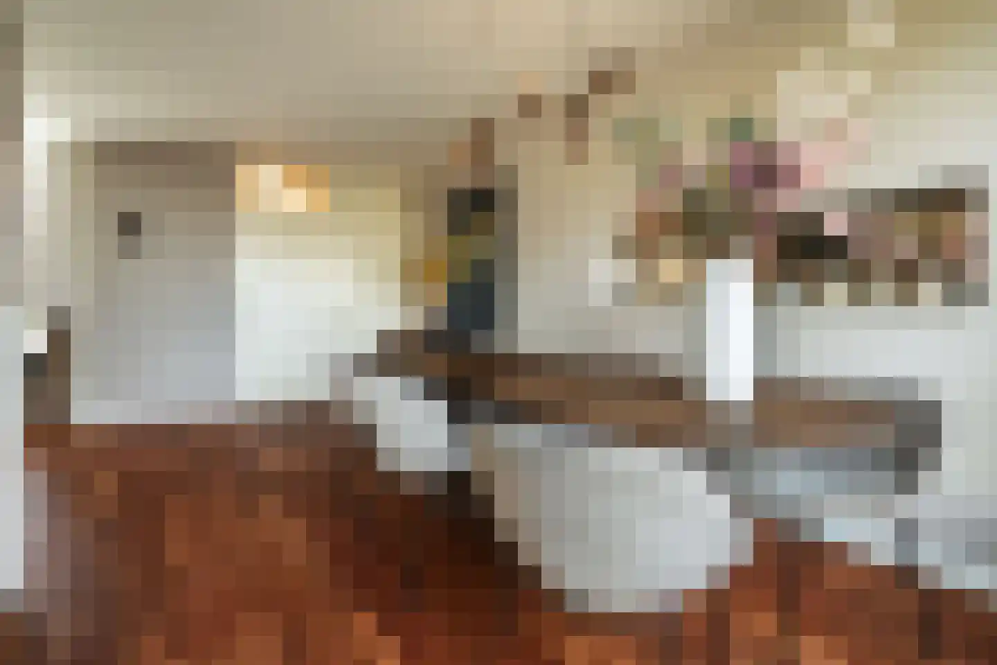 Meester Klaasstraat 11 Odijk thumbnail 13