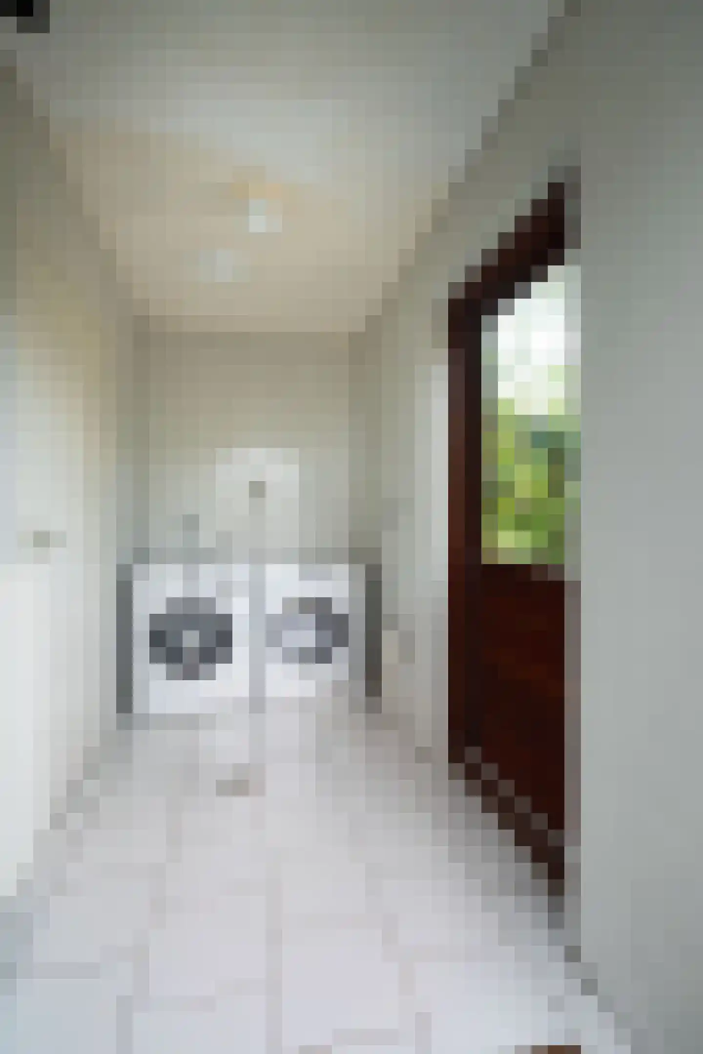 Meester Klaasstraat 11 Odijk thumbnail 21