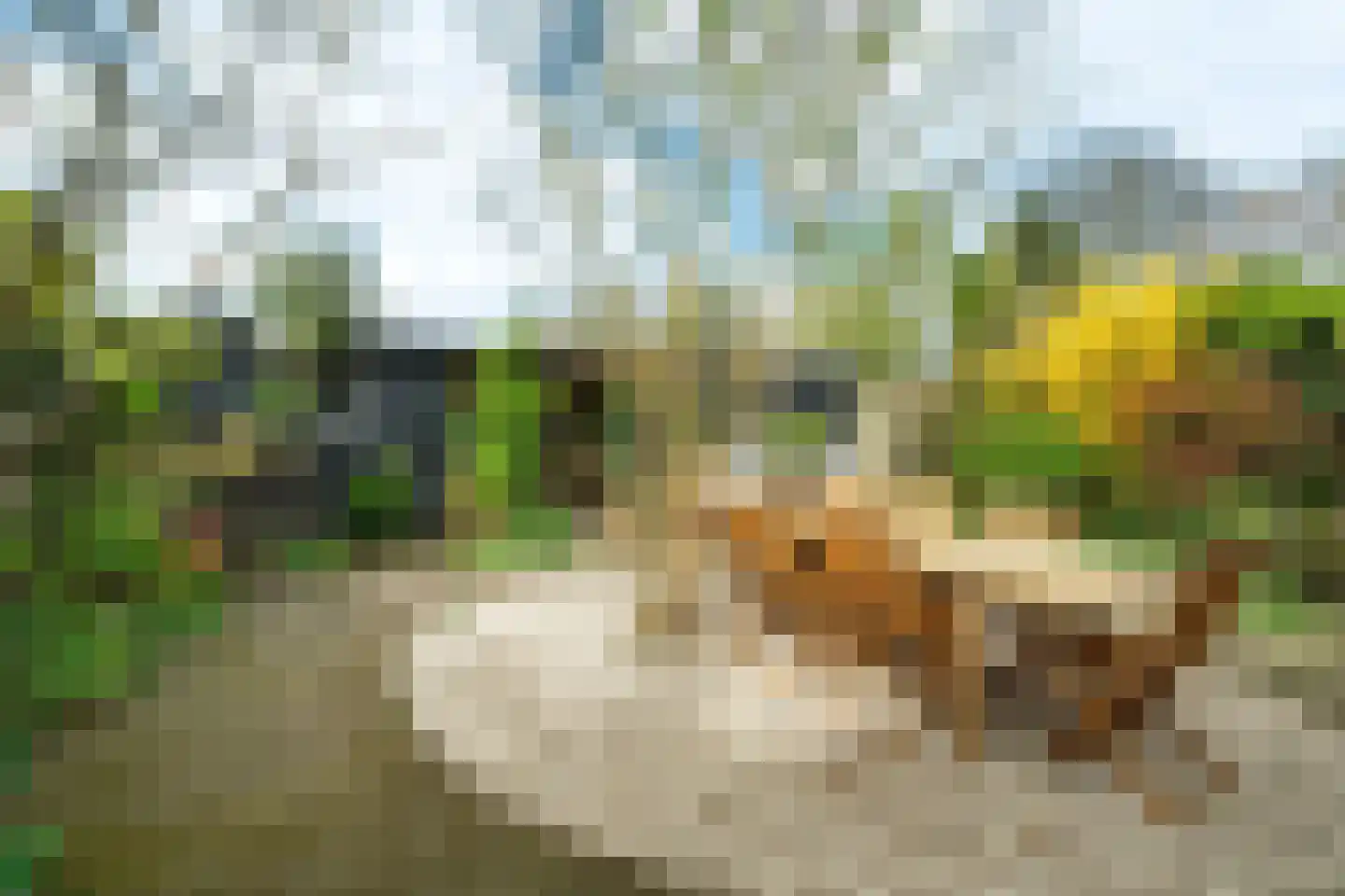 Meester Klaasstraat 11 Odijk thumbnail 24