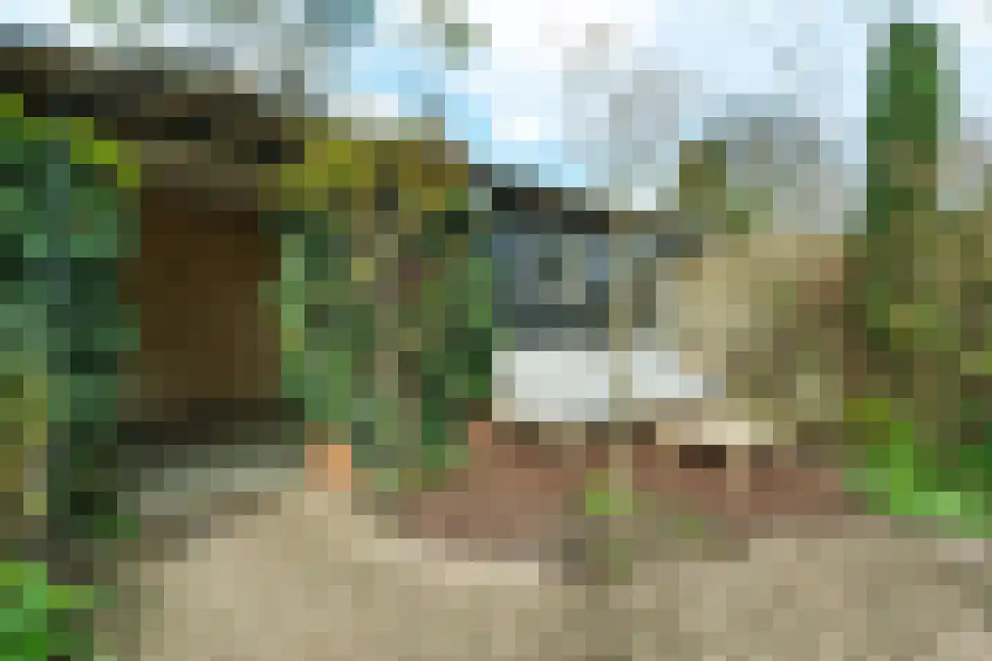 Meester Klaasstraat 11 Odijk thumbnail 25