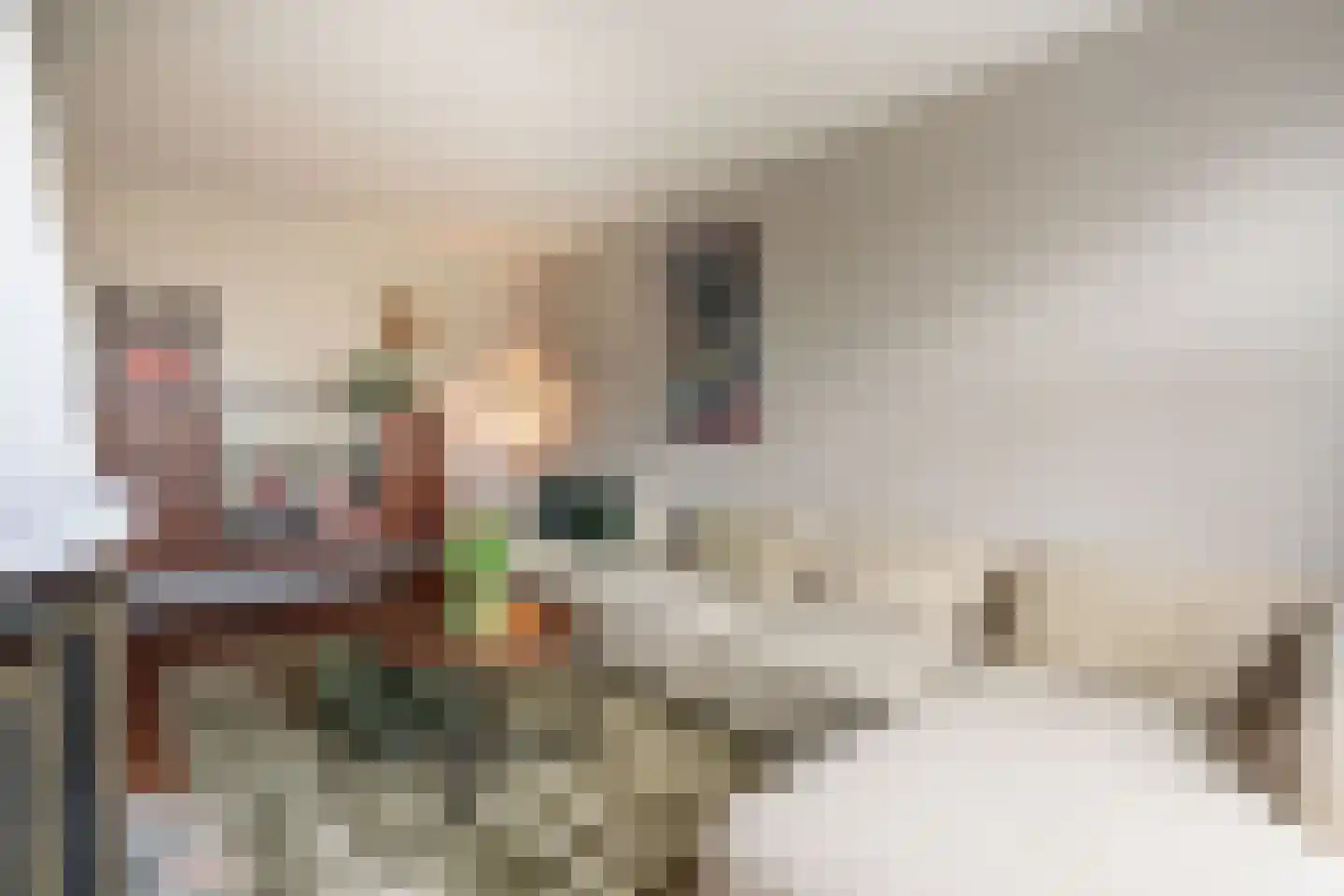 Meester Klaasstraat 11 Odijk thumbnail 6