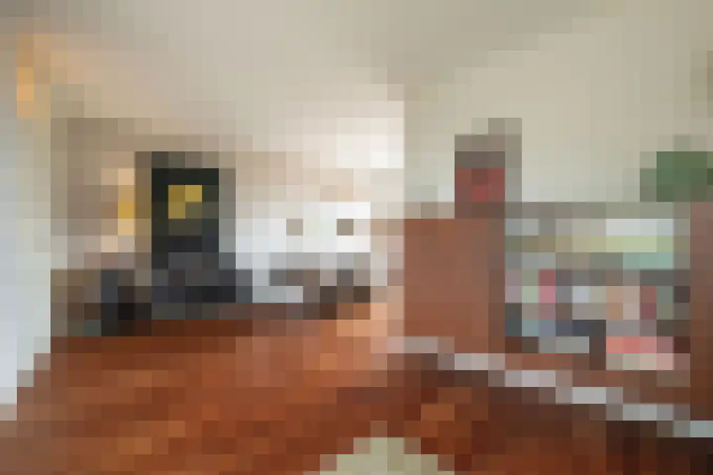 Meester Klaasstraat 11 Odijk thumbnail 7