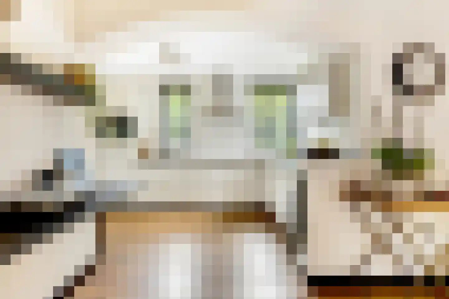 Meester Knoopsstraat 11 Riethoven thumbnail 15