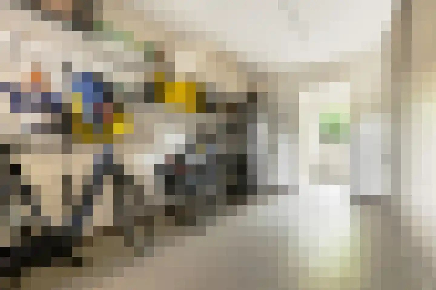 Meester Knoopsstraat 11 Riethoven thumbnail 42