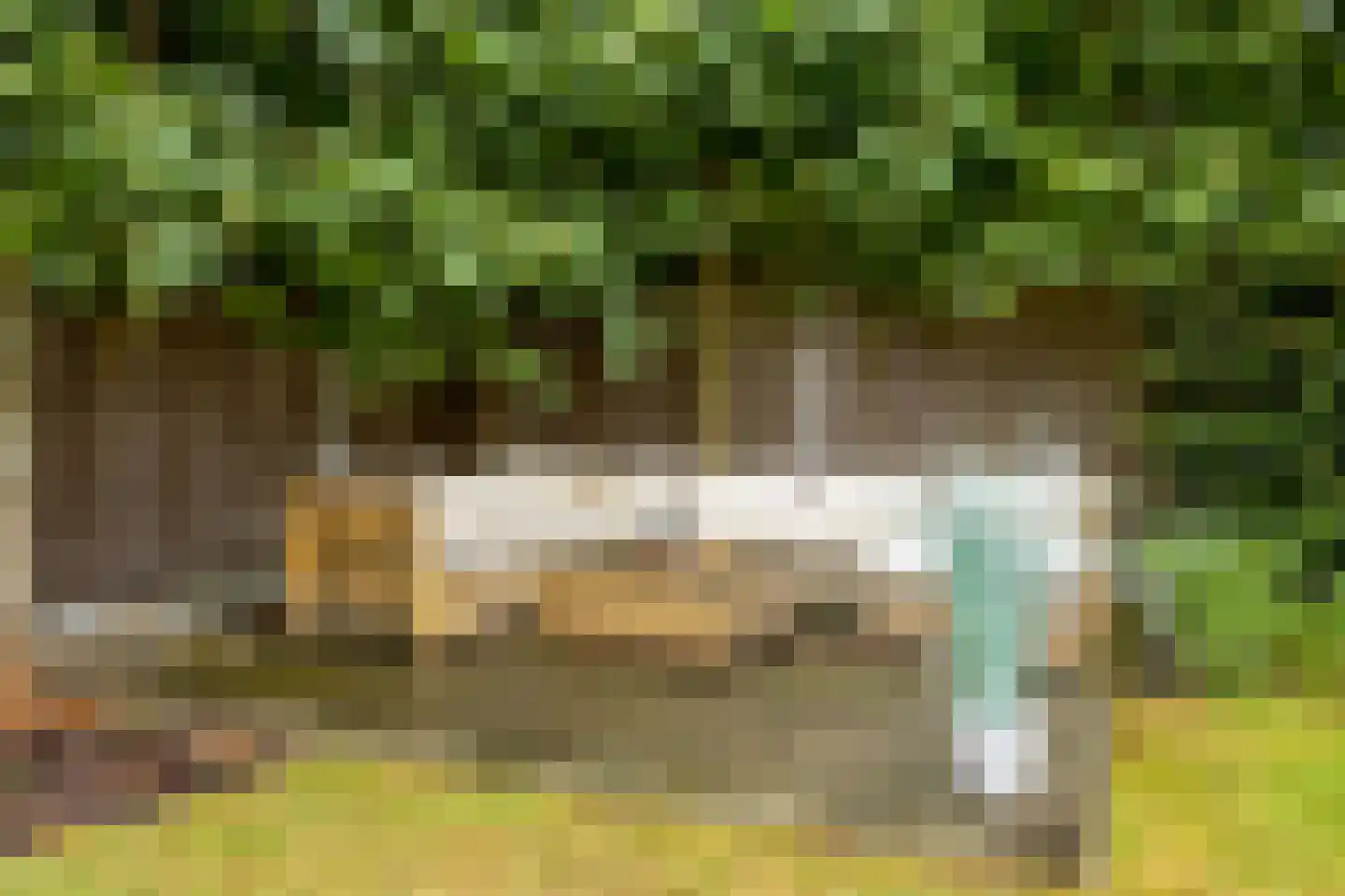 Meester Knoopsstraat 11 Riethoven thumbnail 45