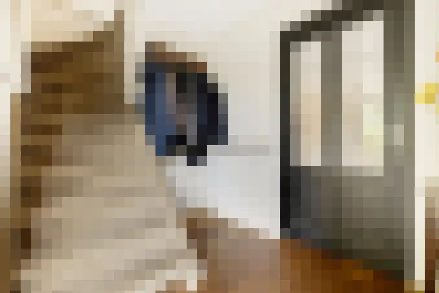 Meester Knoopsstraat 11 Riethoven thumbnail 6