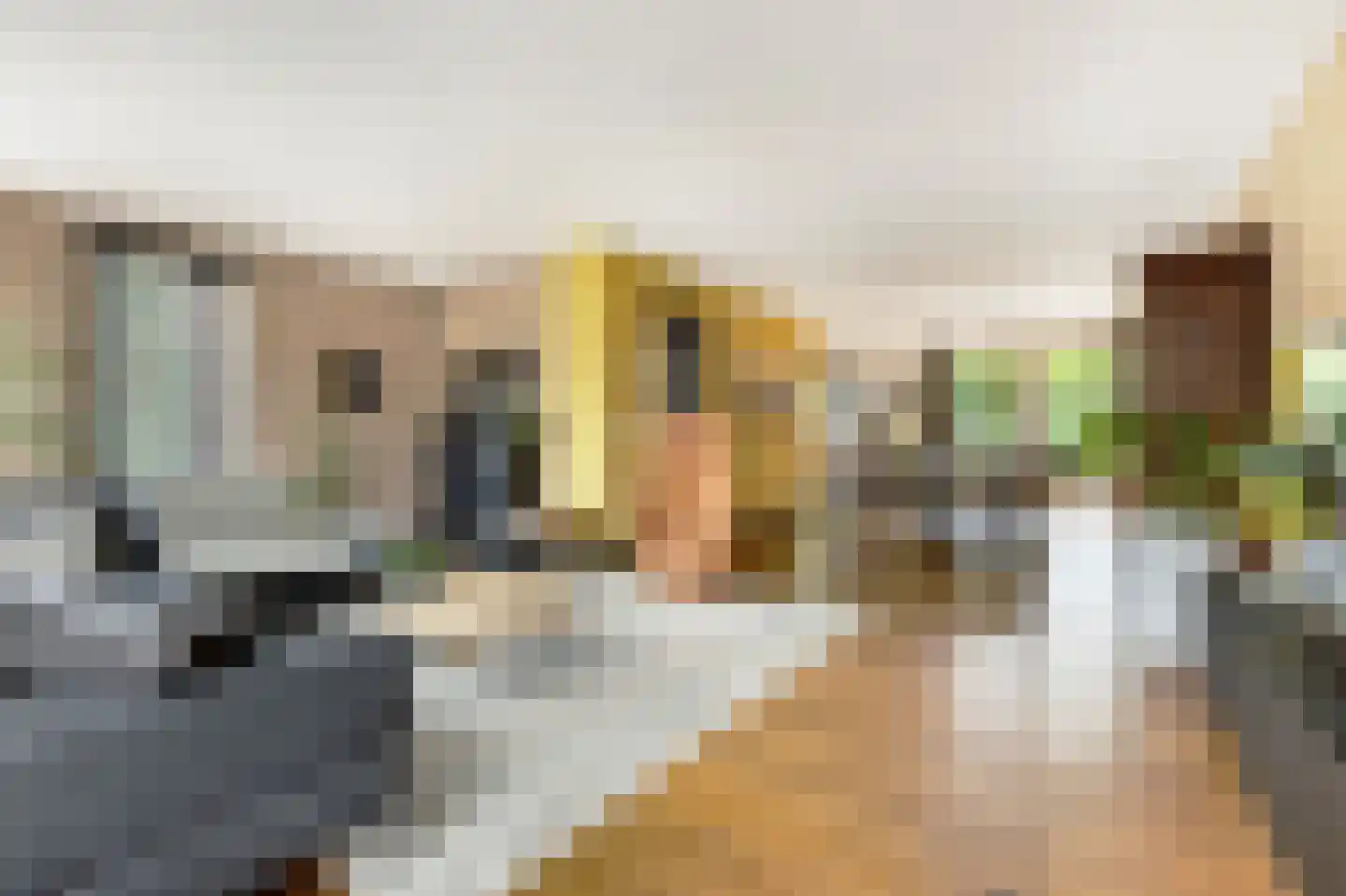 Meester Knoopsstraat 11 Riethoven thumbnail 7