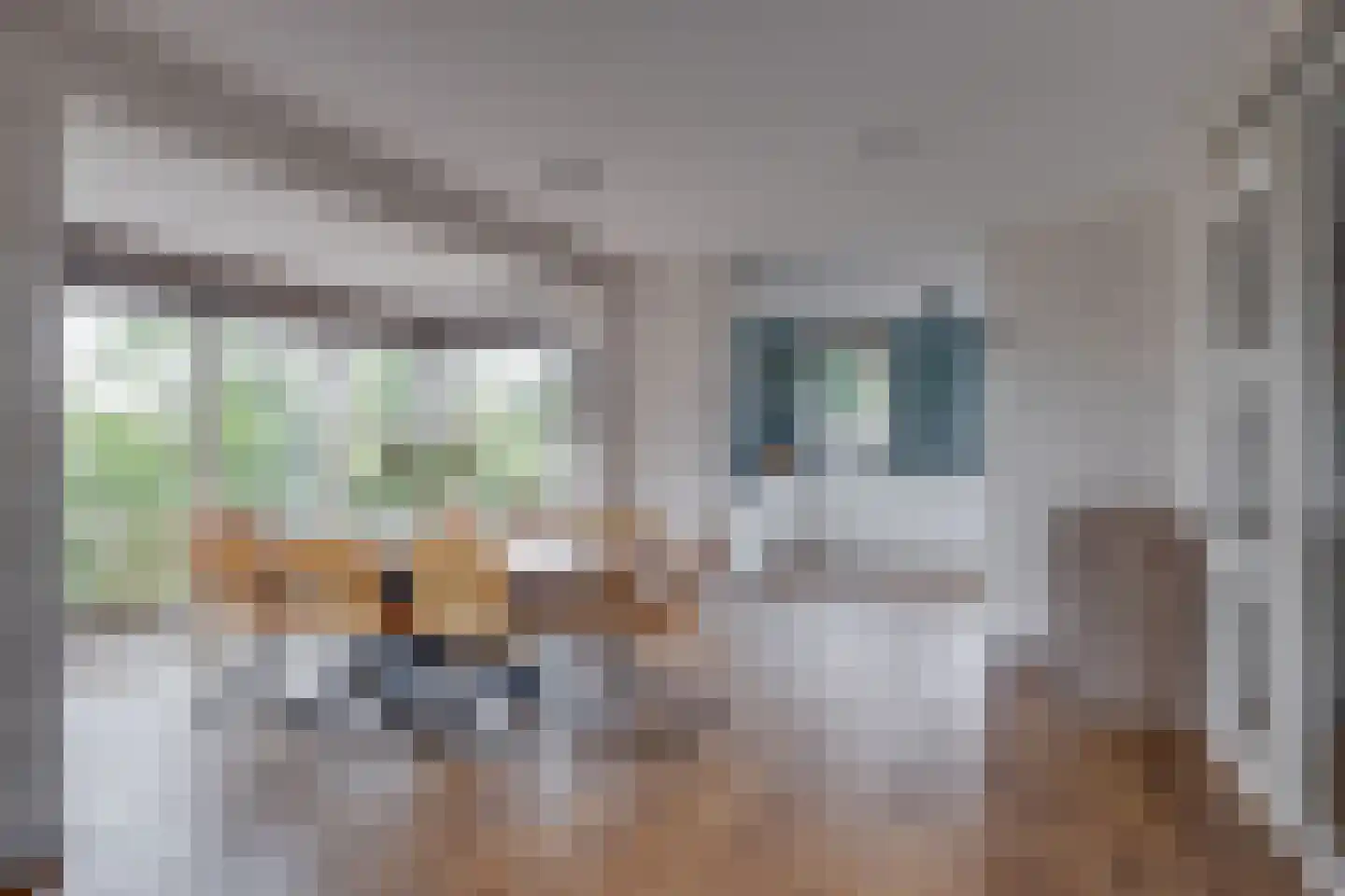 Meester Kolkplein 9 Laren thumbnail 12