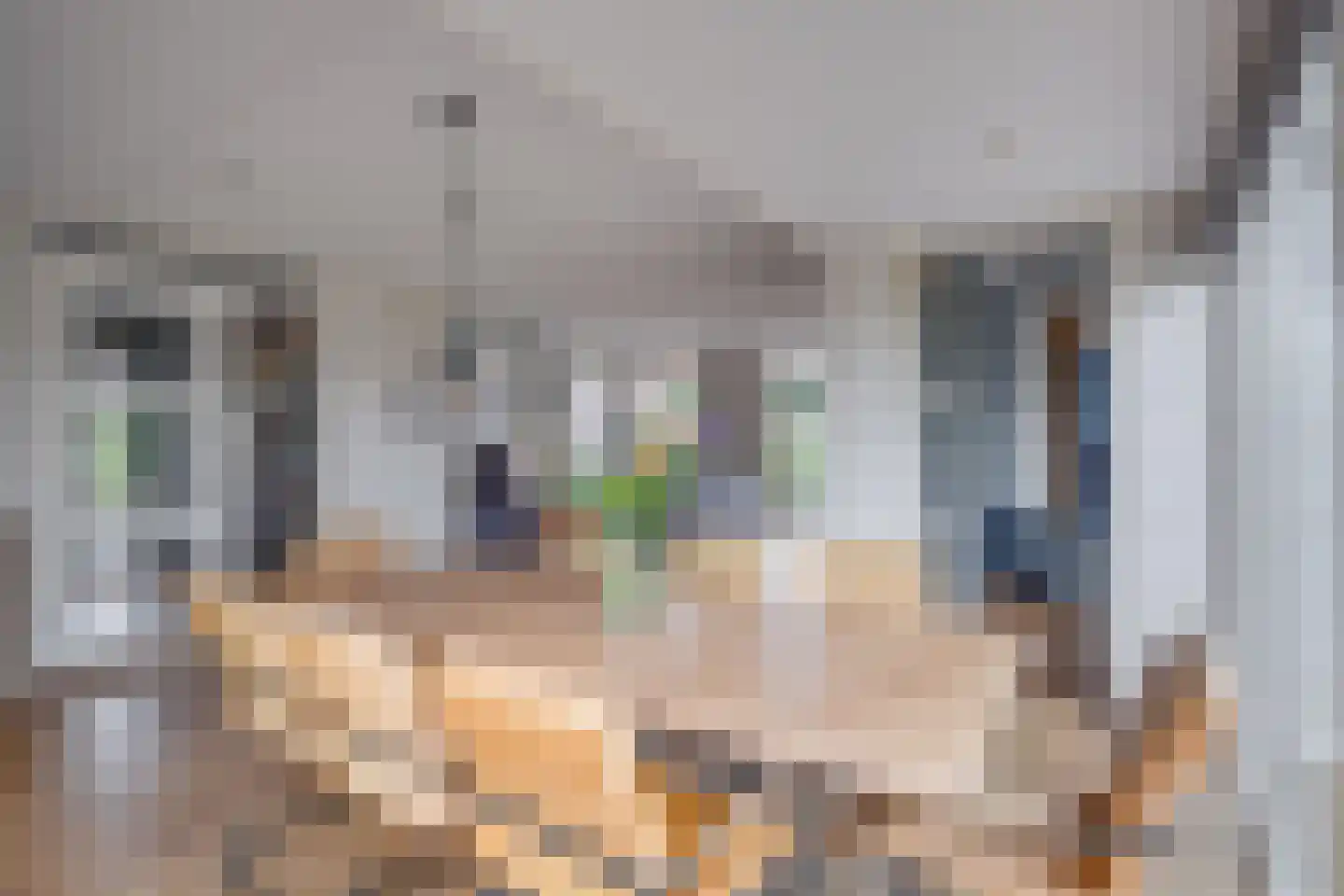 Meester Kolkplein 9 Laren thumbnail 14