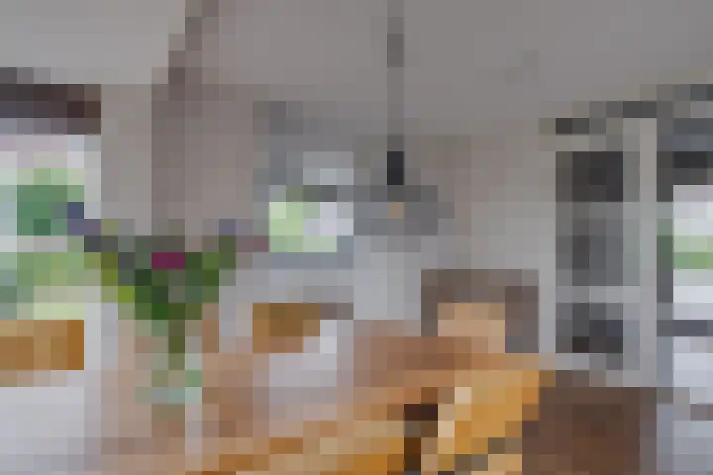 Meester Kolkplein 9 Laren thumbnail 19