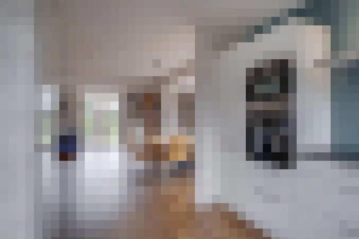Meester Kolkplein 9 Laren thumbnail 26