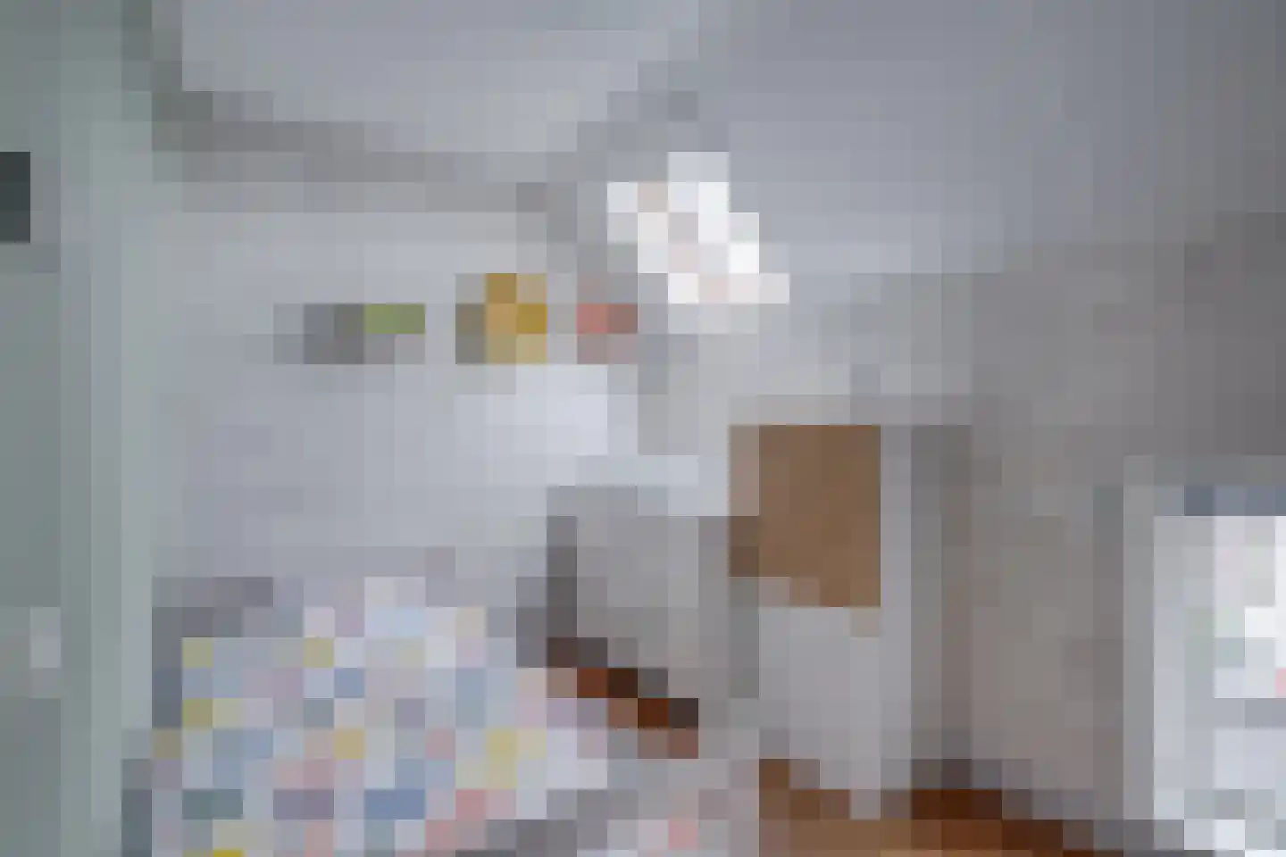 Meester Kolkplein 9 Laren thumbnail 39