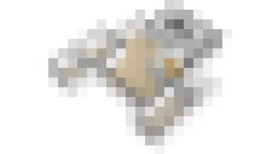 Meester Kolkplein 9 Laren thumbnail 66