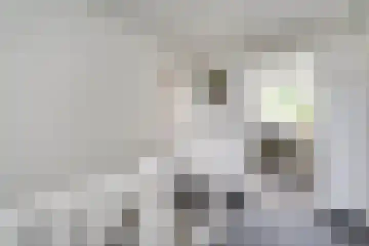 Meester Koolenweg 15 Zwolle thumbnail 12