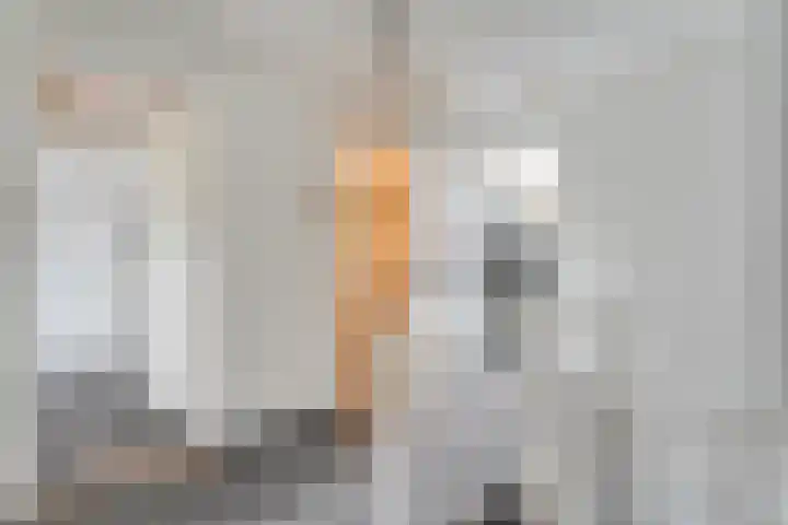 Meester Koolenweg 15 Zwolle thumbnail 13