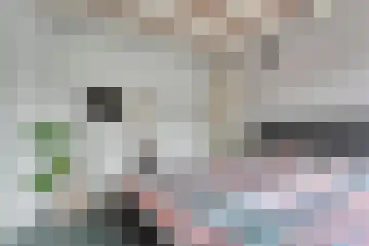 Meester Koolenweg 15 Zwolle thumbnail 16
