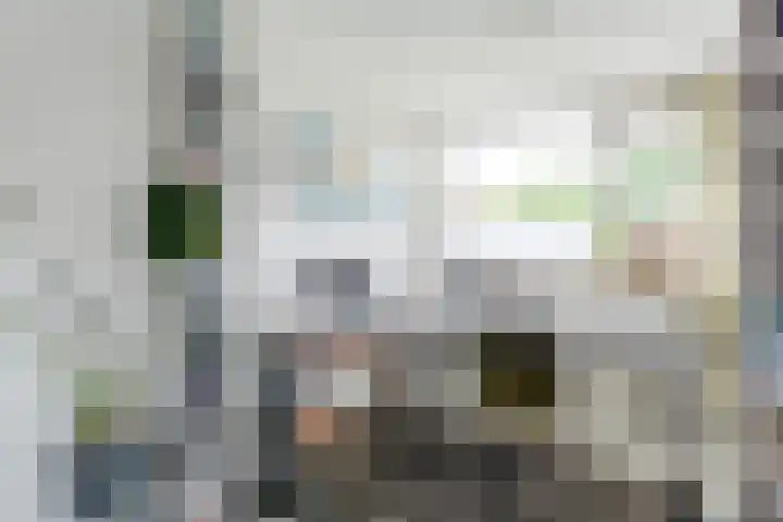 Meester Koolenweg 15 Zwolle thumbnail 17