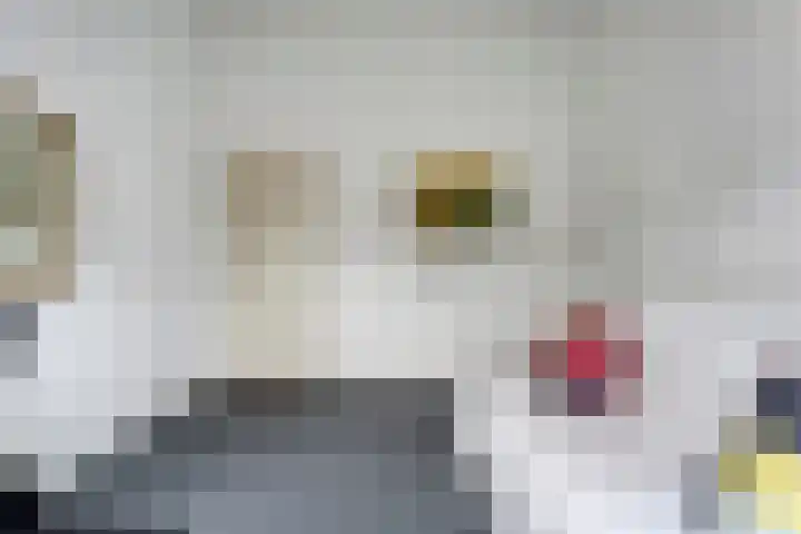 Meester Koolenweg 15 Zwolle thumbnail 19
