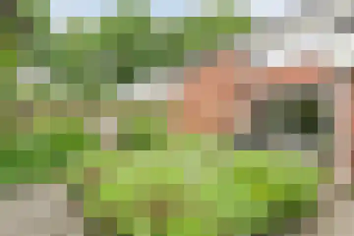 Meester Koolenweg 15 Zwolle thumbnail 27