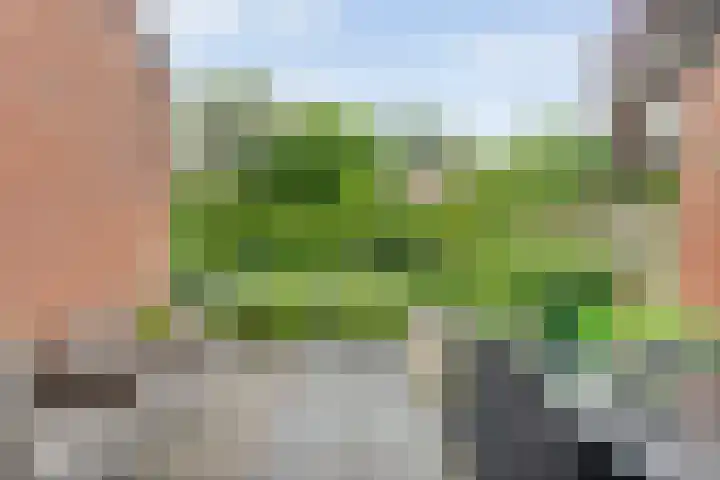 Meester Koolenweg 15 Zwolle thumbnail 28