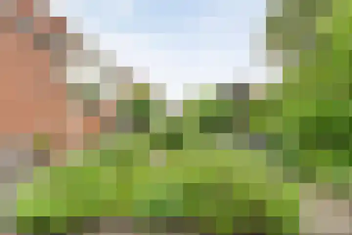 Meester Koolenweg 15 Zwolle thumbnail 29