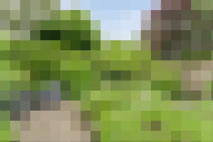 Meester Koolenweg 15 Zwolle thumbnail 30
