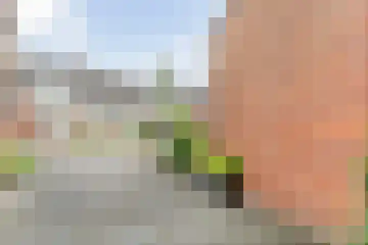 Meester Koolenweg 15 Zwolle thumbnail 31