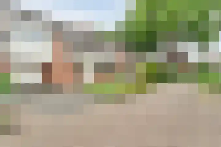 Meester Koolenweg 15 Zwolle thumbnail 32