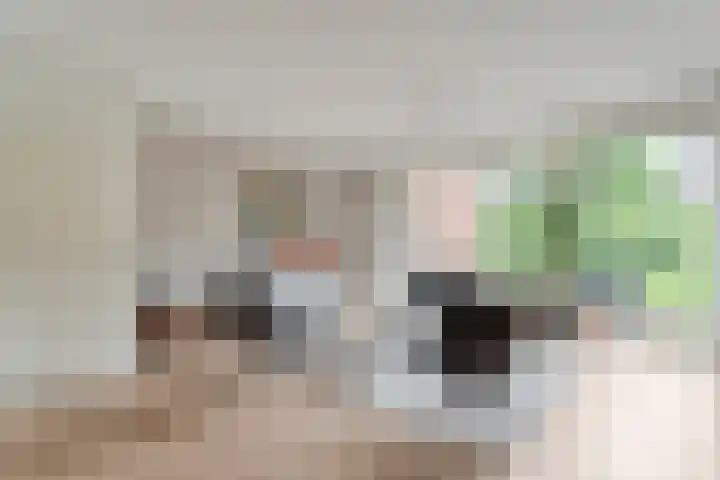 Meester Koolenweg 15 Zwolle thumbnail 5