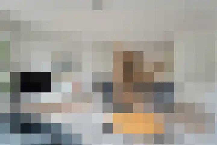 Meester Koolenweg 15 Zwolle thumbnail 6