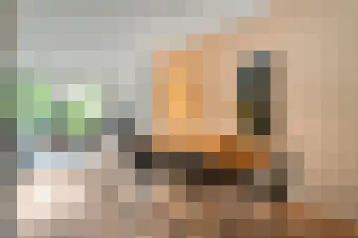 Meester Koolenweg 15 Zwolle thumbnail 8