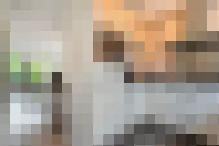 Meester Koolenweg 15 Zwolle thumbnail 9